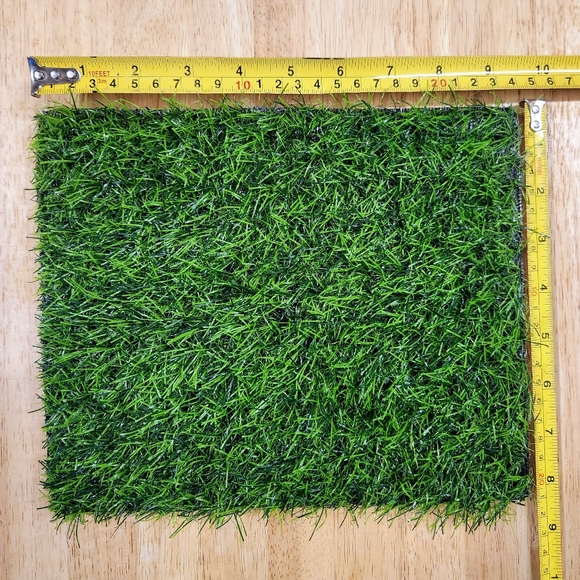 Summer Time Dino Display - Picture 12 of 15